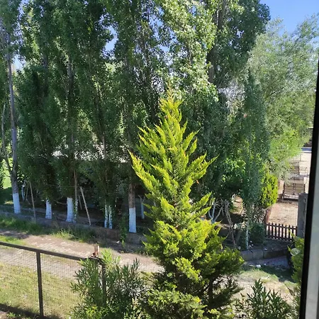 Basha * Durrës